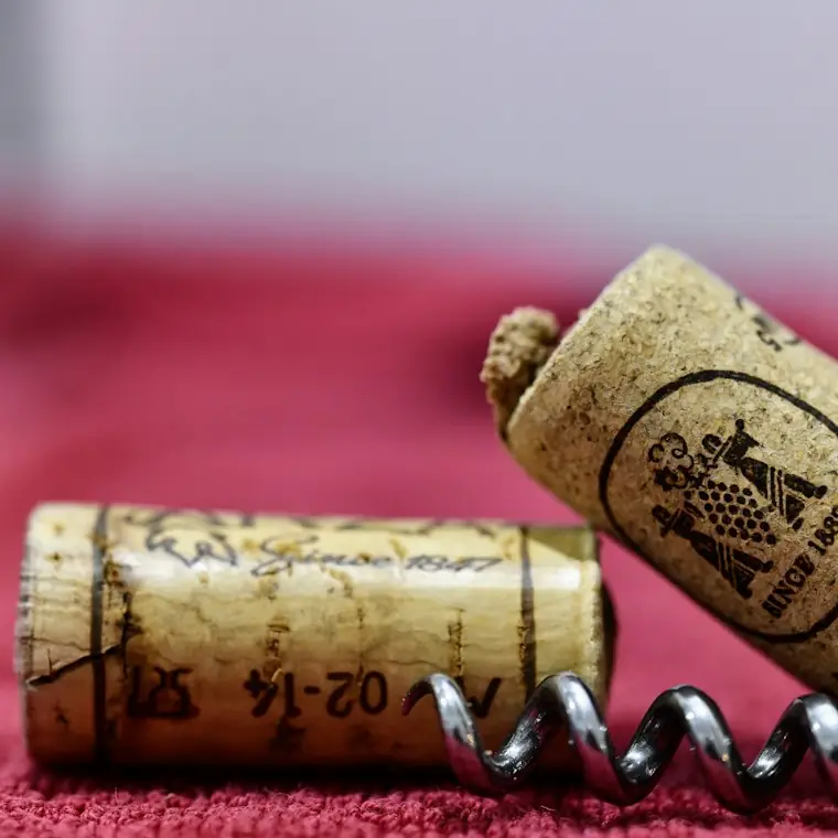 Style reference photo for Vacu Vin Wine Saver with Extra Stoppers