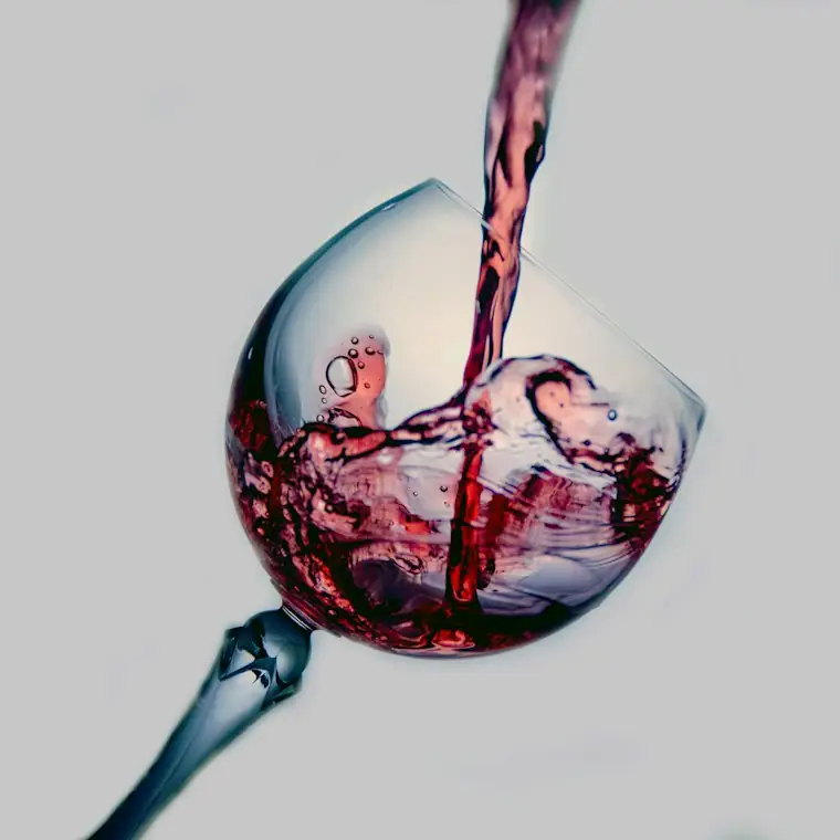 Style reference photo for Vinturi Red Wine Aerator